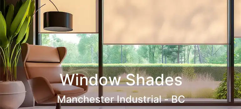  Window Shades Manchester Industrial - BC