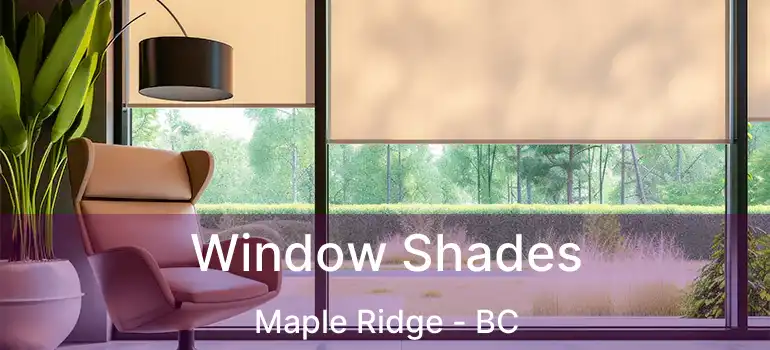  Window Shades Maple Ridge - BC