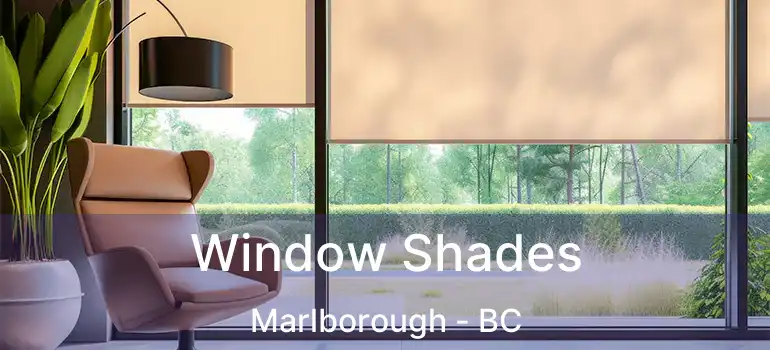 Window Shades Marlborough - BC
