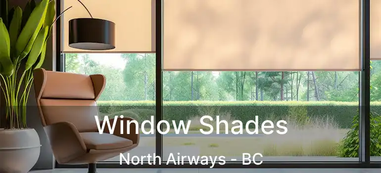  Window Shades North Airways - BC