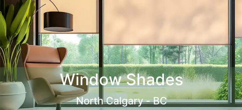  Window Shades North Calgary - BC