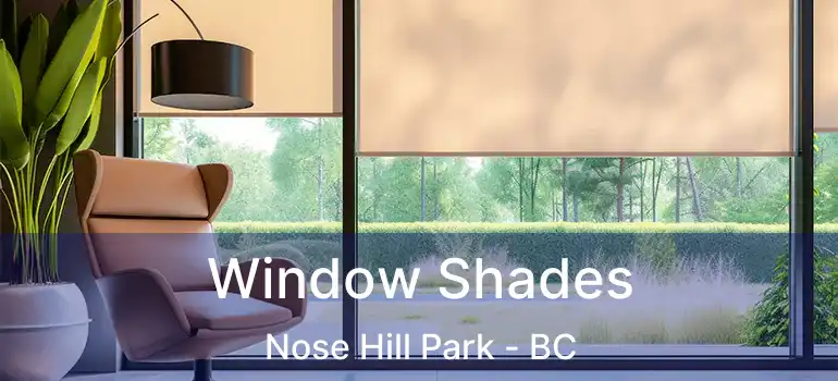  Window Shades Nose Hill Park - BC