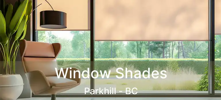  Window Shades Parkhill - BC