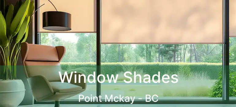  Window Shades Point Mckay - BC