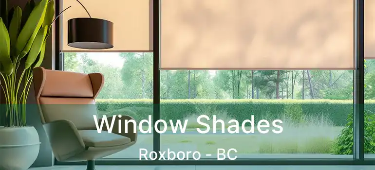  Window Shades Roxboro - BC
