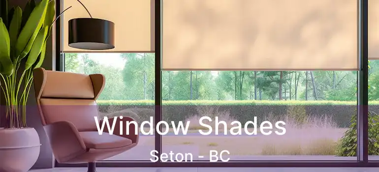  Window Shades Seton - BC