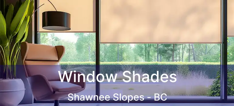  Window Shades Shawnee Slopes - BC