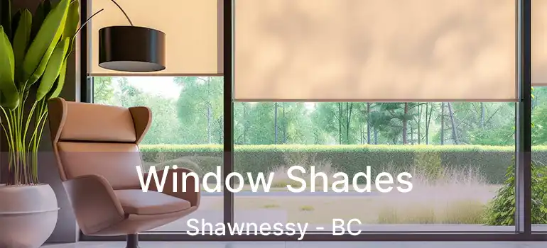  Window Shades Shawnessy - BC