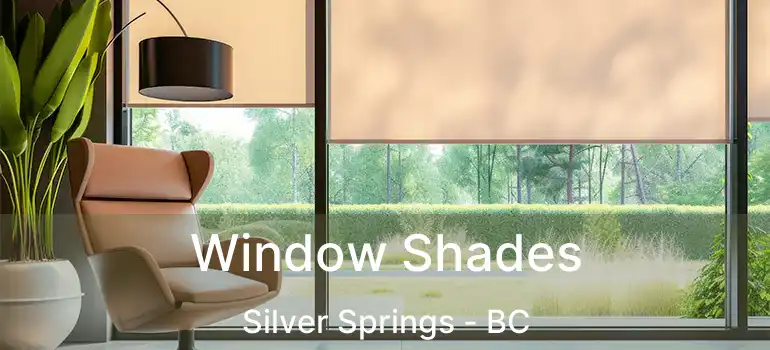  Window Shades Silver Springs - BC