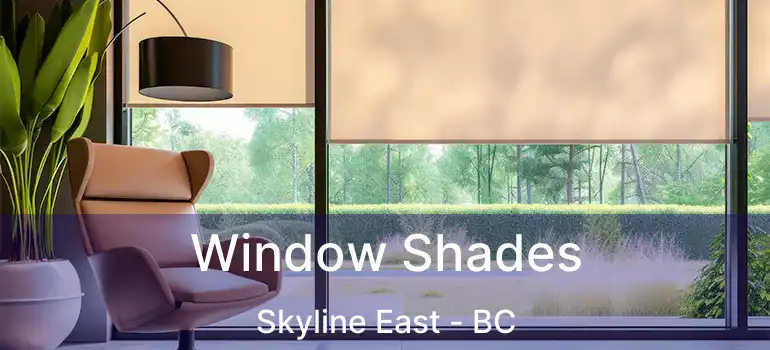  Window Shades Skyline East - BC
