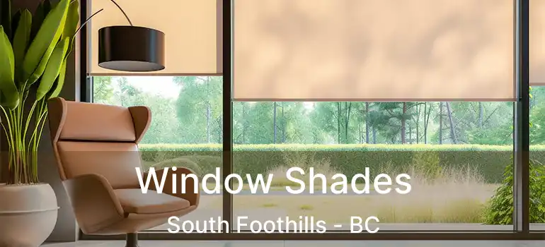  Window Shades South Foothills - BC