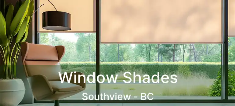  Window Shades Southview - BC