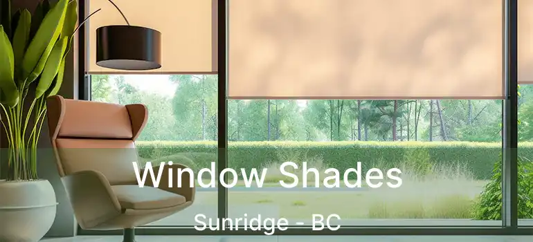  Window Shades Sunridge - BC