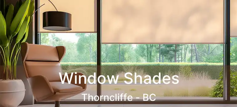 Window Shades Thorncliffe - BC