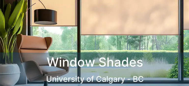  Window Shades University of Calgary - BC