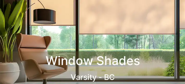  Window Shades Varsity - BC