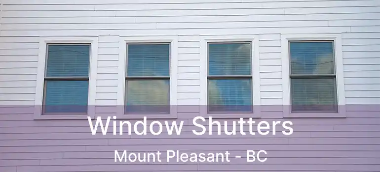  Window Shutters Mount Pleasant - BC