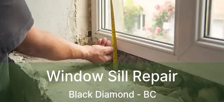  Window Sill Repair Black Diamond - BC