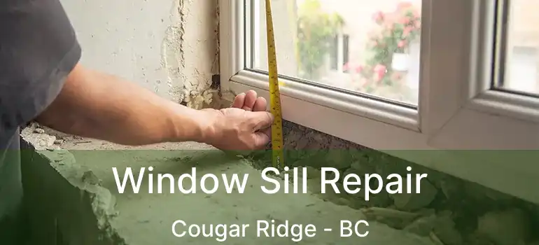  Window Sill Repair Cougar Ridge - BC