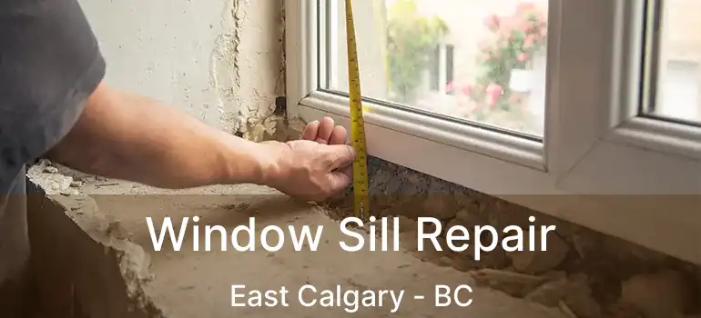  Window Sill Repair East Calgary - BC