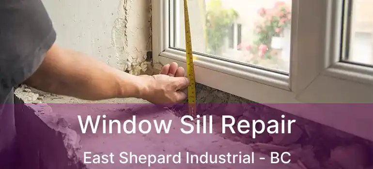  Window Sill Repair East Shepard Industrial - BC