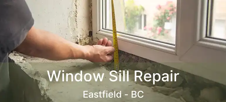  Window Sill Repair Eastfield - BC