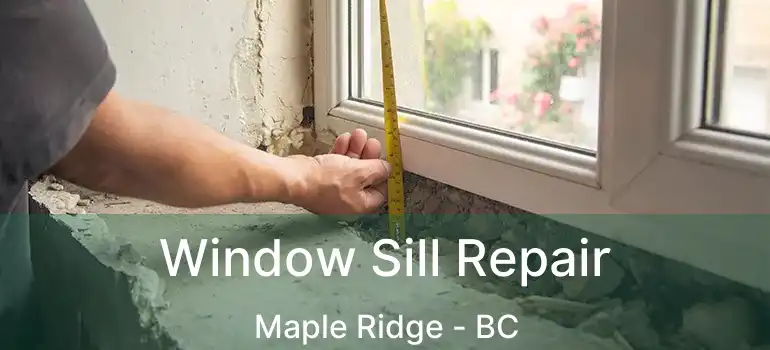  Window Sill Repair Maple Ridge - BC