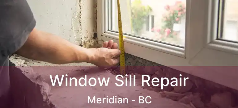  Window Sill Repair Meridian - BC