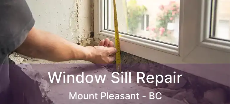  Window Sill Repair Mount Pleasant - BC