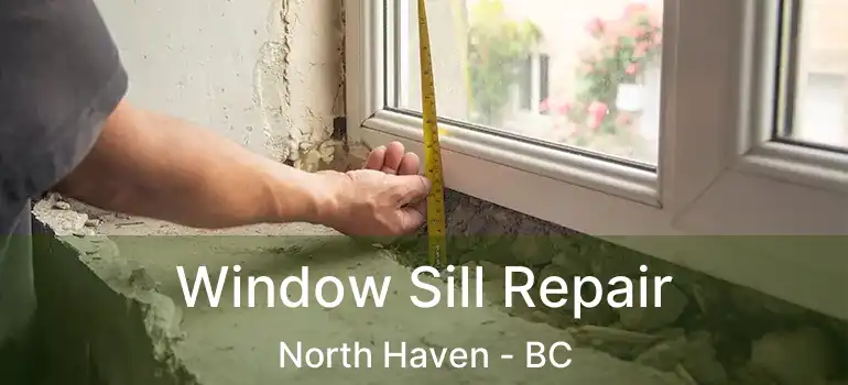  Window Sill Repair North Haven - BC
