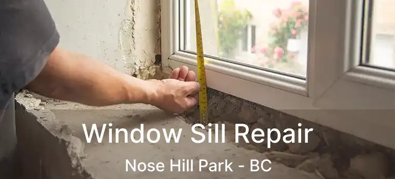  Window Sill Repair Nose Hill Park - BC
