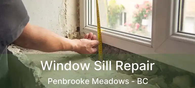  Window Sill Repair Penbrooke Meadows - BC