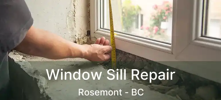  Window Sill Repair Rosemont - BC