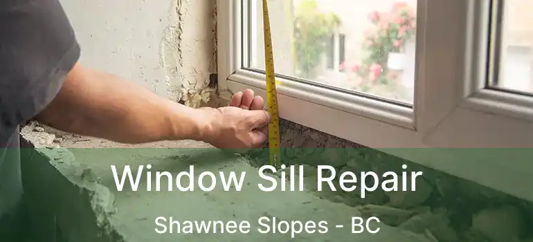  Window Sill Repair Shawnee Slopes - BC
