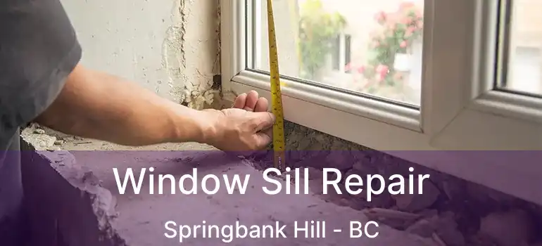  Window Sill Repair Springbank Hill - BC