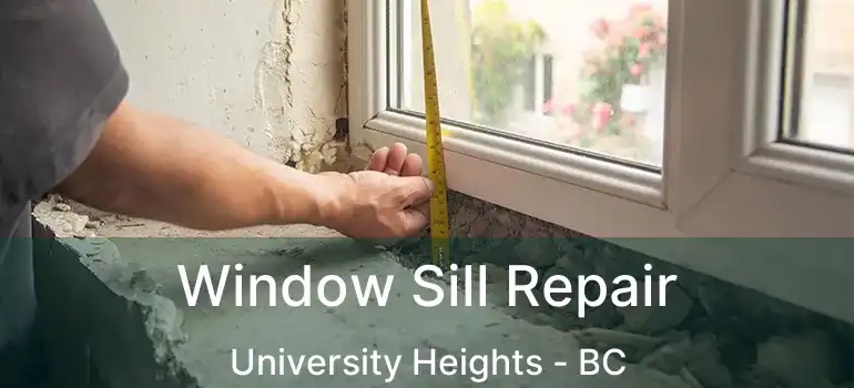  Window Sill Repair University Heights - BC
