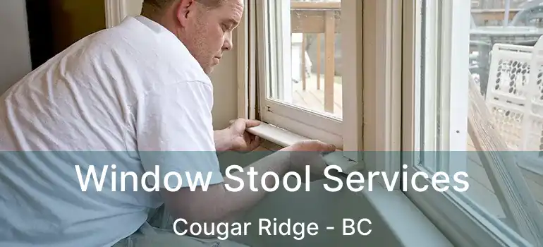  Window Stool Services Cougar Ridge - BC