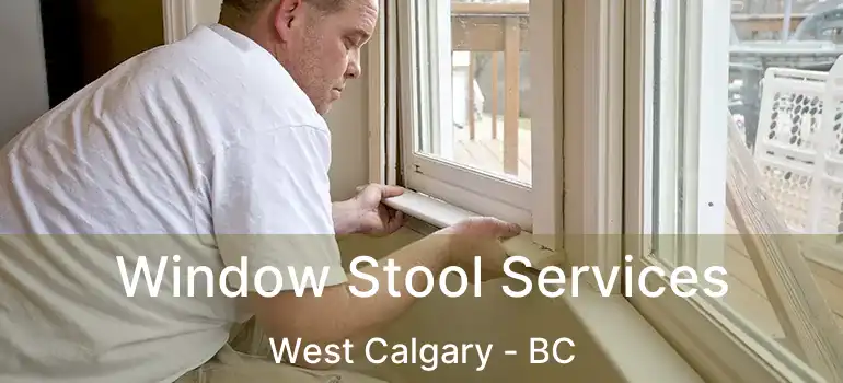  Window Stool Services West Calgary - BC
