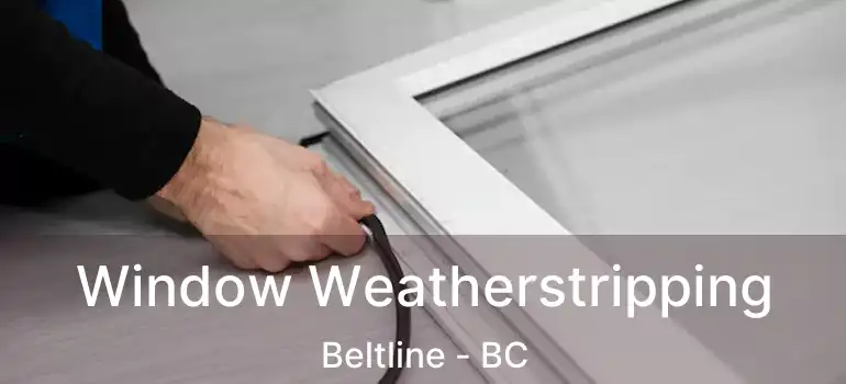  Window Weatherstripping Beltline - BC