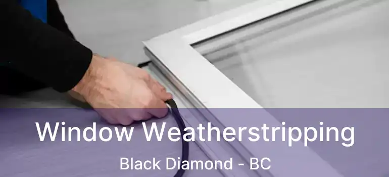  Window Weatherstripping Black Diamond - BC