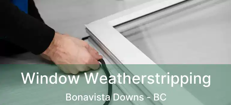  Window Weatherstripping Bonavista Downs - BC