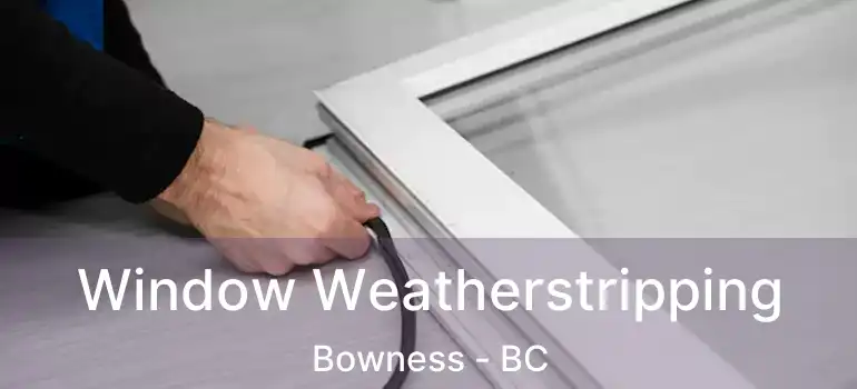  Window Weatherstripping Bowness - BC
