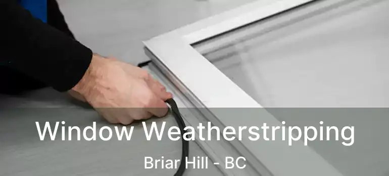  Window Weatherstripping Briar Hill - BC