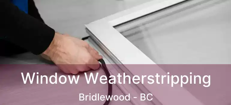  Window Weatherstripping Bridlewood - BC