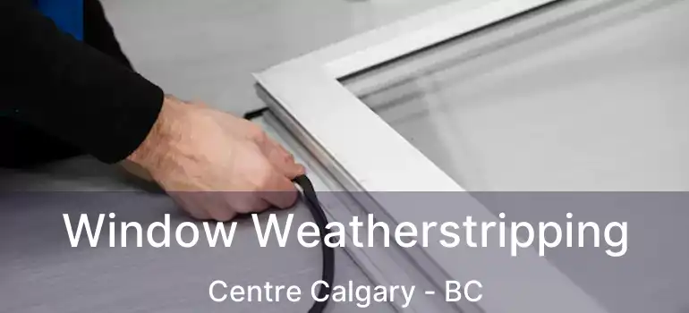  Window Weatherstripping Centre Calgary - BC