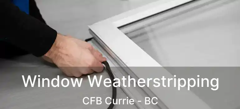  Window Weatherstripping CFB Currie - BC