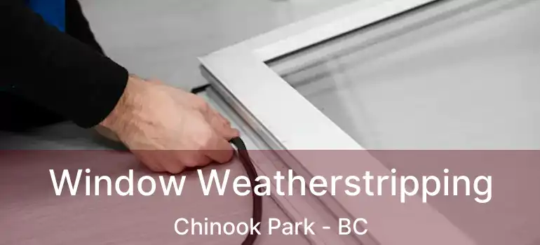  Window Weatherstripping Chinook Park - BC