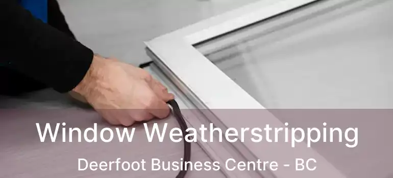  Window Weatherstripping Deerfoot Business Centre - BC