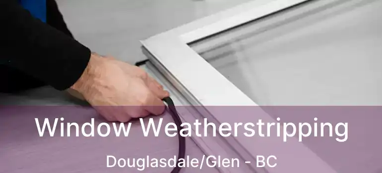 Window Weatherstripping Douglasdale/Glen - BC