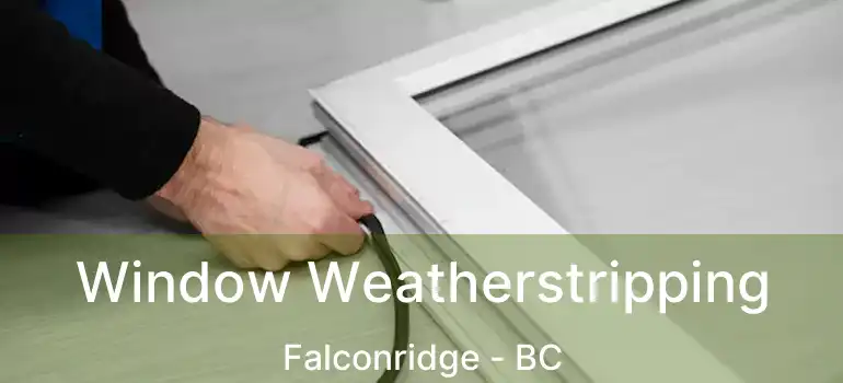  Window Weatherstripping Falconridge - BC